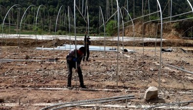 投資52.65萬元，甘肅清水縣食用菌大棚建設(shè)火熱推進