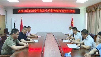 總投資5000萬(wàn)元，食用菌及中草藥種植項(xiàng)目簽約落地