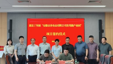 億元項目啟新程！安徽蕭縣丁里鎮(zhèn)食用菌產(chǎn)業(yè)園項目簽約