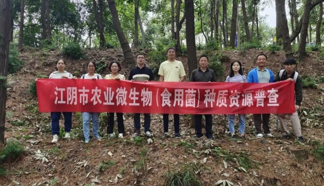 江陰市首次農(nóng)業(yè)微生物（食用菌）種質(zhì)資源普查收官