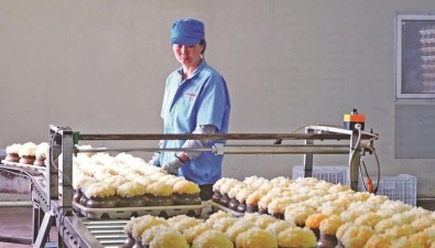 福建尤溪：種植食用菌4.1億袋