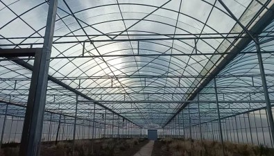 甘肅平?jīng)鲠轻紖^(qū)安國村：投資240萬元，食用菌項目加速推進