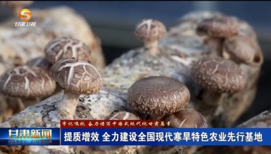 甘肅慶陽西峰區(qū)：以園區(qū)為中心種食用菌，輻射周邊村產(chǎn)業(yè)聯(lián)動
