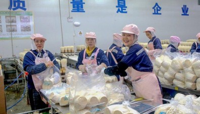重慶萬盛：發(fā)展蘑菇產(chǎn)業(yè)，實(shí)現(xiàn)農(nóng)文旅融合