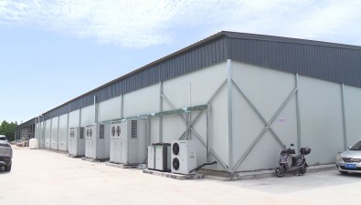 上海金山區(qū)廊下鎮(zhèn)：將建設(shè)20座現(xiàn)代化菇房