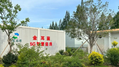 投資1500萬(wàn)元！浙江省德清共富項(xiàng)目打造智慧菌業(yè)新標(biāo)桿