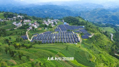貴州道真平模社區(qū)：“小菌菇”撬動“大發(fā)展”