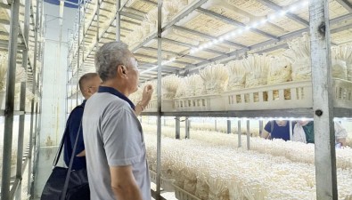 “科創(chuàng)中國”食用菌科技成果產(chǎn)業(yè)化科技服務團調(diào)研走訪