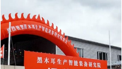 黑龍江東寧市“黑木耳生產(chǎn)智能裝備研究院”正式揭牌成立