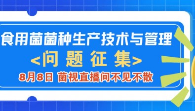 【問題征集】“食用菌菌種生產(chǎn)技術(shù)與管理”直播訪談，8月8日破解菌種行業(yè)痛點