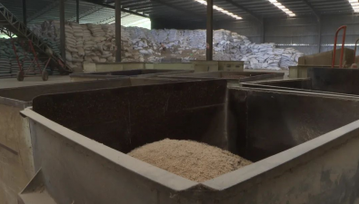 福建古田：秸稈變身食用菌“營養(yǎng)餐”，走出降本增效新路徑
