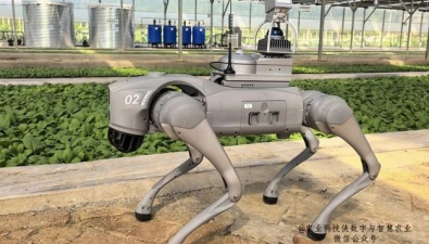宇樹四足機器人進軍智慧農(nóng)業(yè)，或成撬動食用菌數(shù)智化升級支點？