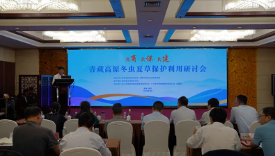 五省區(qū)聯(lián)手守護(hù)“軟黃金”，青藏高原冬蟲(chóng)夏草保護(hù)刻不容緩！