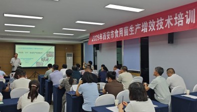 陜西西安：推廣食用菌增效新技術(shù)，助農(nóng)增產(chǎn)增收