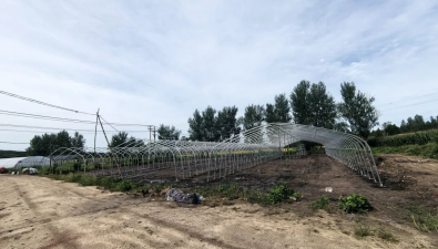 龍江森工興隆林業(yè)局沙河子林場菌棚建設(shè)項目有序推進